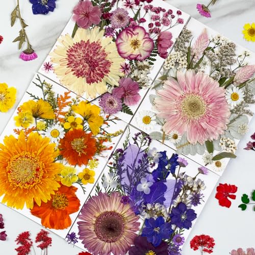 98 Pcs Real Natural Pressed Dried Flowers & Leaves for Resin Crafts