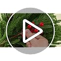 Canlierr 2-Pack 24-Inch Artificial Christmas Topiary Ball Trees for Outdoor Decor