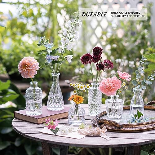 12-Piece Clear Glass Bud Vase Set - Vintage Mini Flower Vases for Centerpieces