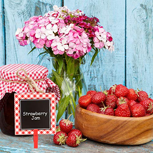 20-Piece Mini Chalkboard Signs with Red Gingham Clips for Food Labels