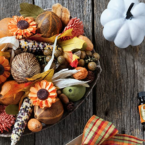 Pumpkin Spice Potpourri Decorative Fragrance 8 Ounce Bag