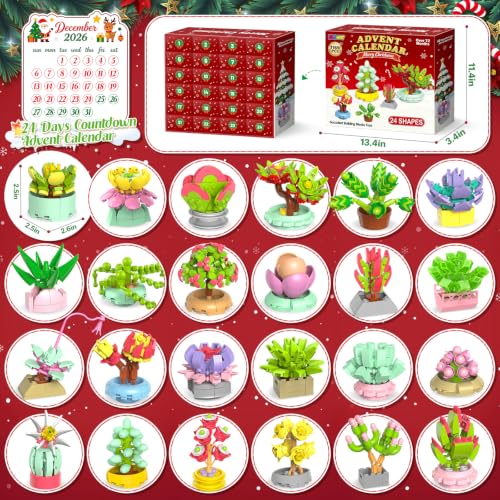 KOSWAT Succulent Building Blocks Advent Calendar 24-Day Kids & Adults Gift
