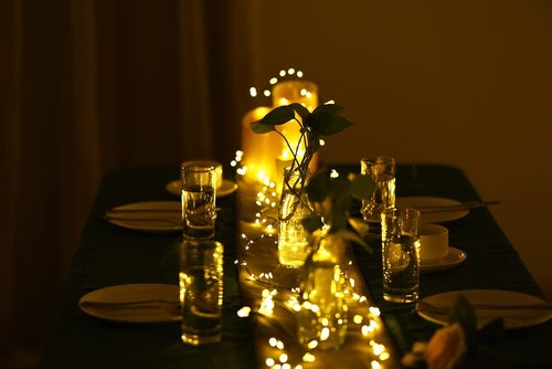 Dailyart 120 LED Starry Lights - 6 Feet Waterproof Dark Green Copper Wire Fairy String Lights for Weddings, Parties & Gardens