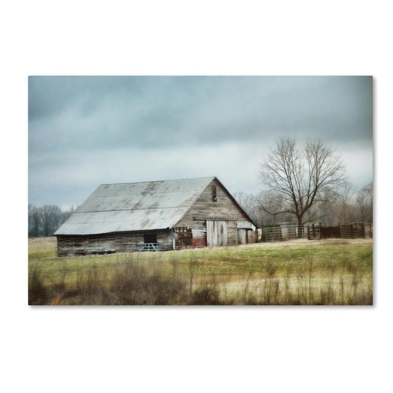 Trademark Fine Art ' An Old Gray Barn ' Canvas Art by Jai Johnson 22x32