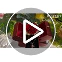 Preserved Real Red Rose in Apple Jewelry Box with I Love You Necklace