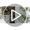 41.3-Inch Artificial Greenery Stems, Set of 2 Faux Ficus Branches
