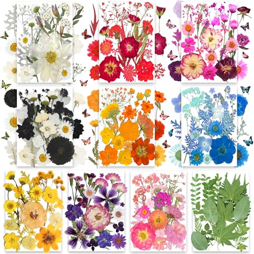 301-Piece Dried Pressed Flowers and Leaves Set for Resin Crafts and Decor