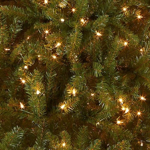 6ft Pre-Lit Dunhill Fir Artificial Christmas Tree with 600 Clear Lights