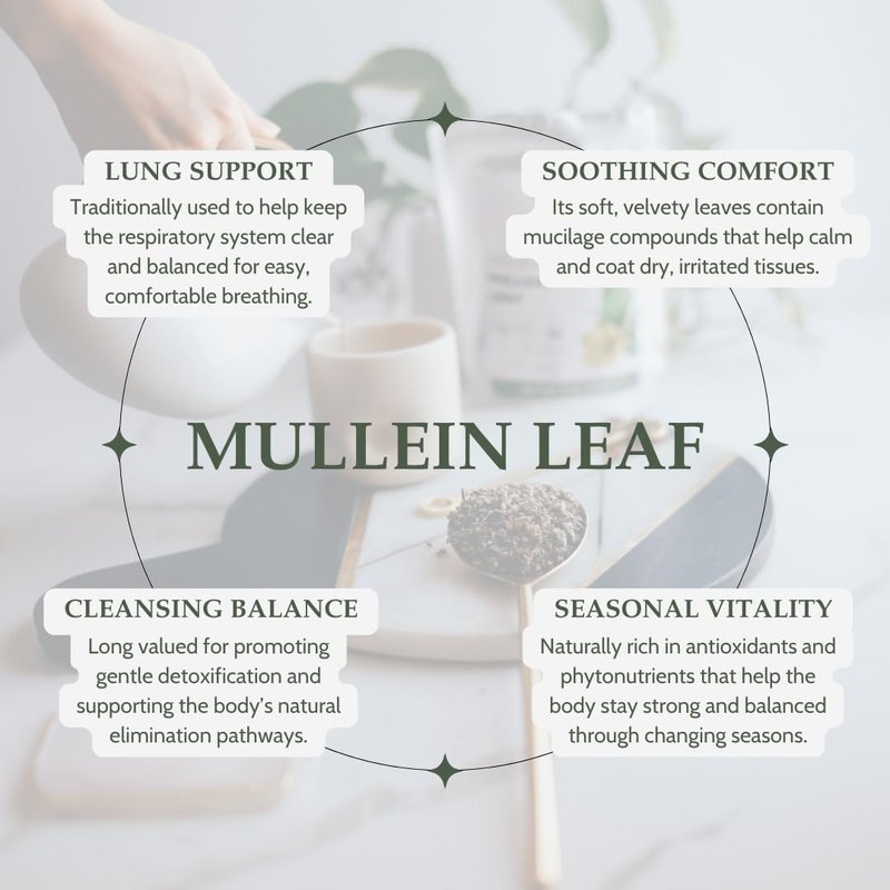 Elanen Naturals Organic Mullein Leaf 8 oz. (227g), USDA Certified Organic Mullein Leaf Tea, Mullen Leaves, Mullin Leaf Herb, Mullien Tea, Cut & Sifted