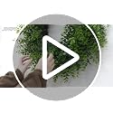 26-Inch Artificial Boxwood Wreath for Front Door - All-Season Greenery