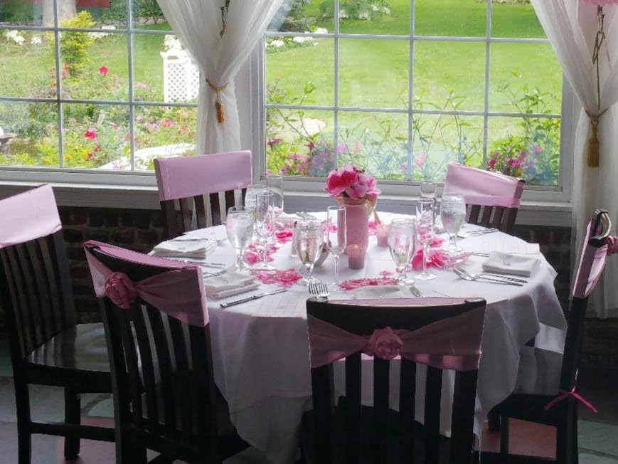 Skiennix Satin Chair Sashes - Elegant Light Pink Chair Bows for Wedding & Party Decor (10 Pack)