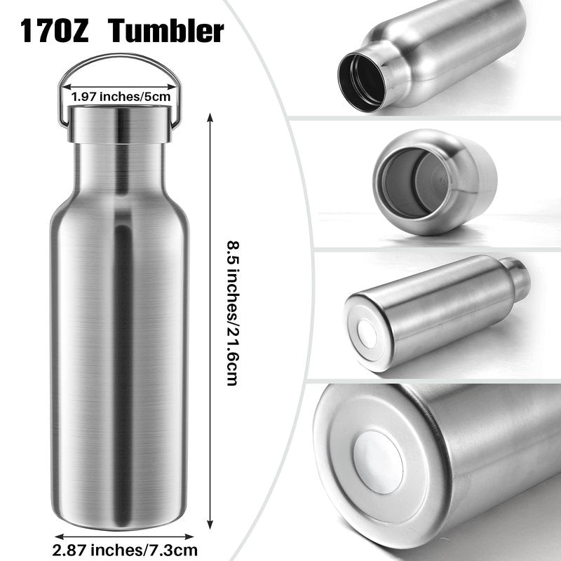 10 Pack Reusable Stainless Steel Water Bottle Bulk Double Wall Insulated Sports Water Bottle with Handle and Vacuum Seal Leakproof Lid for Sports Cyclists Hiking Gym Camping Gift(Silver,17 oz)