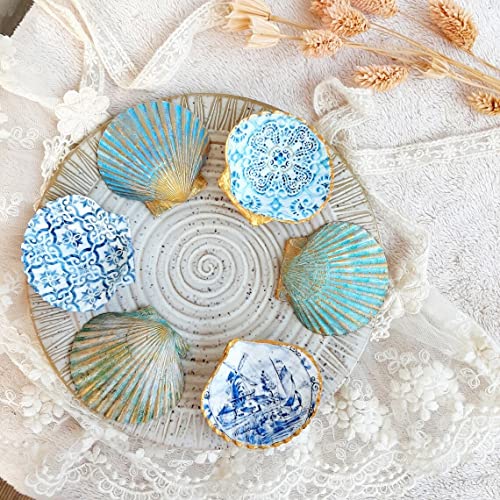 Large Natural Scallop Shells 4-5 Inch (10 Pack) for Crafting & Baking