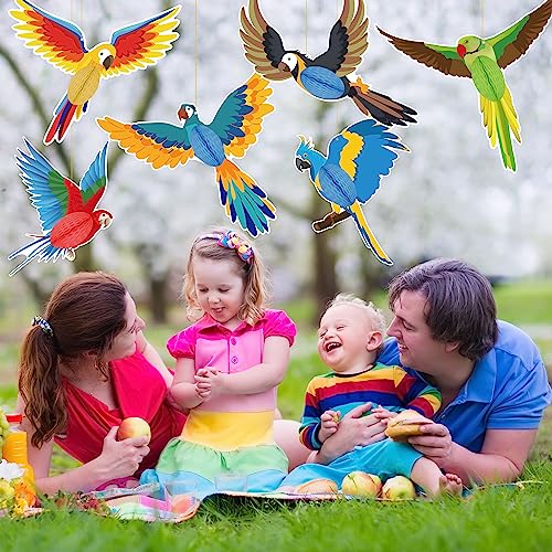 6-Piece Tropical Bird Honeycomb Hanging Decorations for Luau Party
