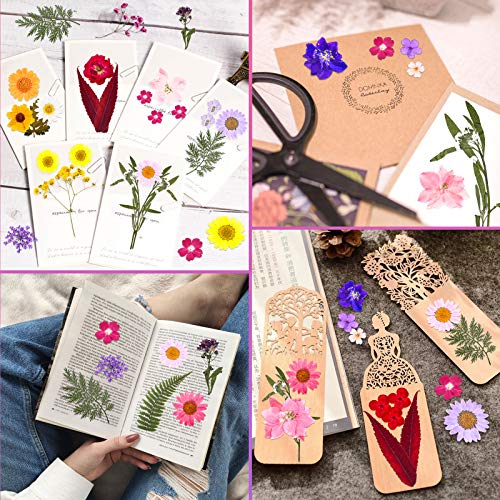 140 Pcs Real Dried Pressed Flowers & Natural Leaves for DIY Crafts & Resin