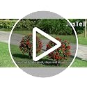 4 Pack 23-Inch Artificial Boxwood Ball Topiary Trees, UV Resistant Faux Plants