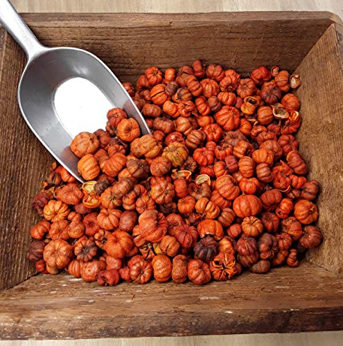 Mini Orange Putka Pumpkin Pods for Potpourri and Bowl Fillers, 4 Cups
