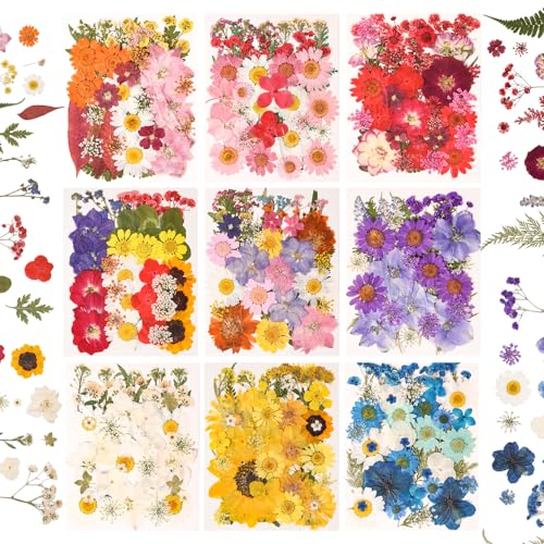 330PCS Natural Pressed Dried Flowers and Leaves Set with Tweezers