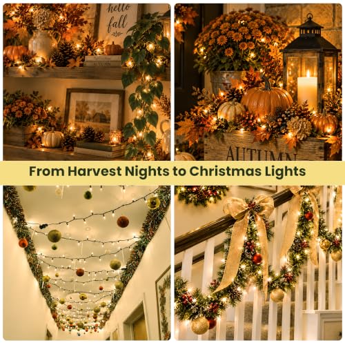 HEYFUNi Warm White Christmas Lights 50 Count Green Wire Plug-In Indoor Outdoor