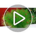 24pc Lime Green Furry Picks with Red Berry Decor - 19.6'' Xmas Tree Topper Stems