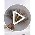 17-Inch Natural Dried Flower Bouquet, Boho Pampas Grass Arrangement
