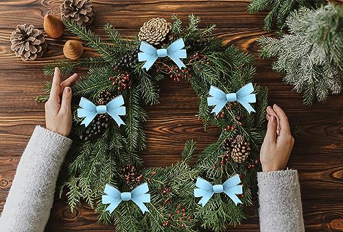 Hying Pale Blue Velvet Christmas Ribbon 3/8" x 25 Yards Holiday Gift Wrap & Crafting