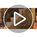 Set of 3 Pre-Lit Warm White LED Star Light Trees (3ft, 5ft, 6ft)