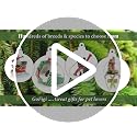 Conversation Concepts White Rabbit Christmas Ornament - Tiny Hand-Painted Holiday Decor