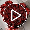 Preserved Red Roses in Heart Gift Box - Real Forever Flower Gift Set
