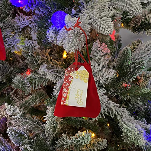 Authentic Lump of Coal Christmas Gag Gift in Red Velvet Jewelry Bag