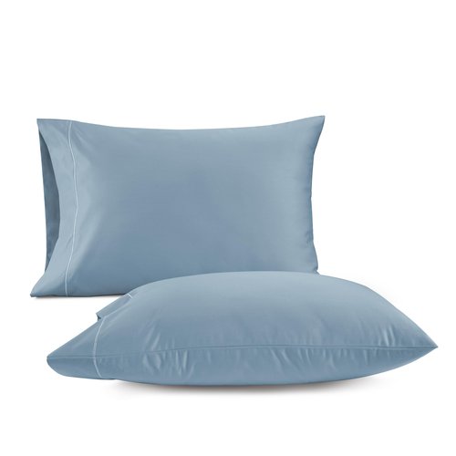 LANE LINEN 100% Egyptian Cotton Pillow Cases Queen Size Set of 2 (20"x30") - 1000 Thread Count Cotton Pillowcases - Soft Queen Size Light Blue Pillow Cases Set of 2 - French Blue
