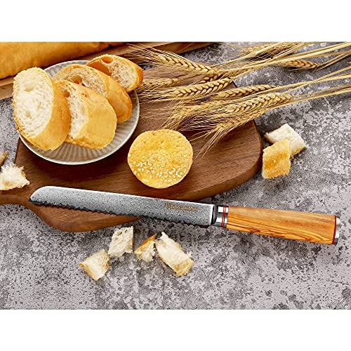 8-Inch Japanese Damascus Steel Serrated Bread Knife with Olive Wood Handle