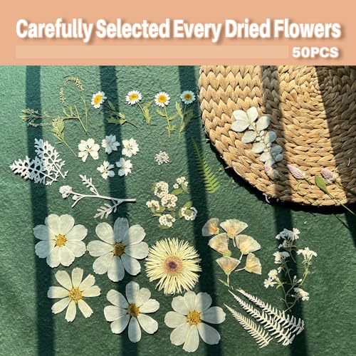 Natural Pressed Dried Flowers for Resin Art, Jewelry Making, and Crafts