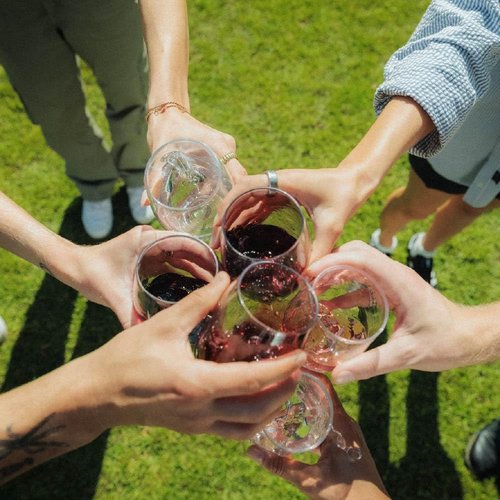 Unbreakable Stemless Wine Glass – Set of 2, 16oz, Dishwasher Safe, BPA-free Tritan, Clear Stemless Red Wine Glasses, Shatterproof for Indoor, Outdoor, Everyday Use. Reusable, Made in the USA