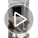 Cozy Bliss Faux Fur Throw Blanket, Soft Plush Bubble Fleece - 50x60