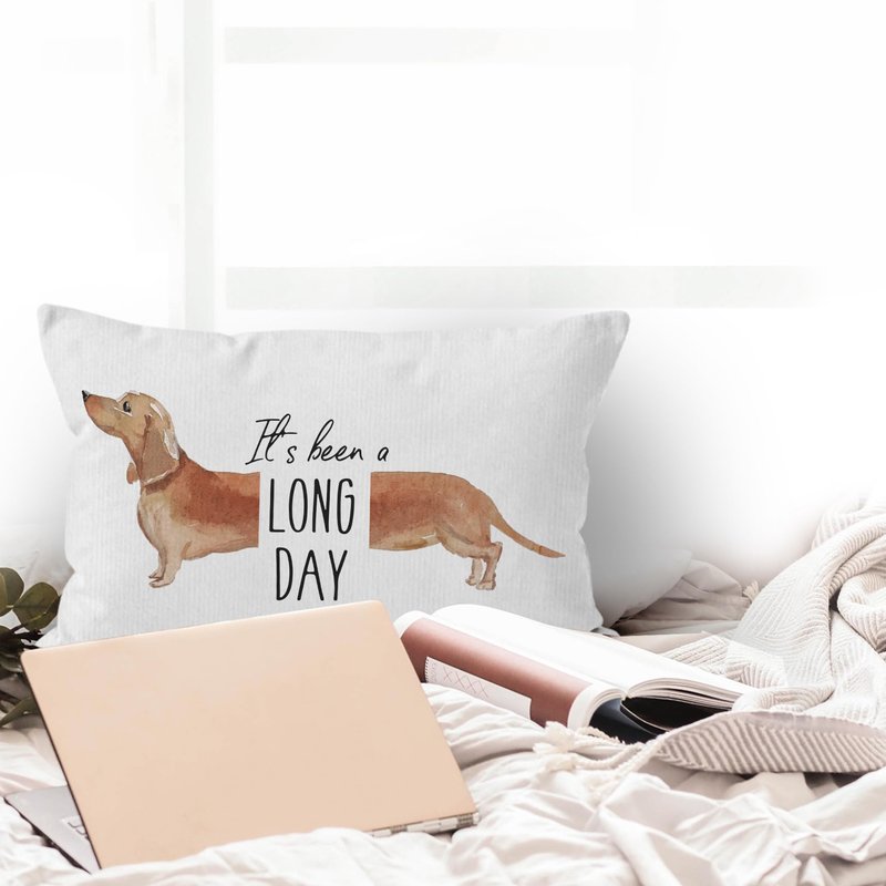 HIWX It's Been A Long Day Pet Dog Dachshund Decorative Pillowcase Throw Pillow Cover, Funny Dachshund Dog Quote for Sofa Bed Room Home Couch Decor 12 x 20 Inch Pillow Case