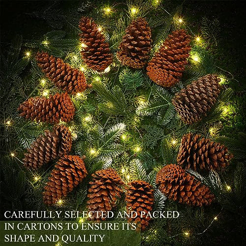 Huwena 24 Pcs Large Natural Pine Cones 5-6 Inches for Holiday Decor, Unscented