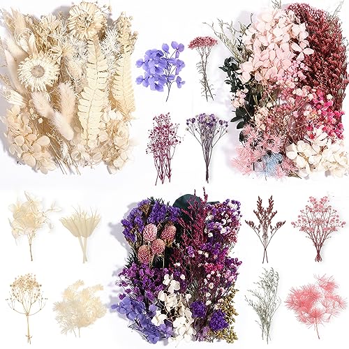 Natural Real Dried Flowers Set for DIY Resin Crafts, Jewelry & Candles