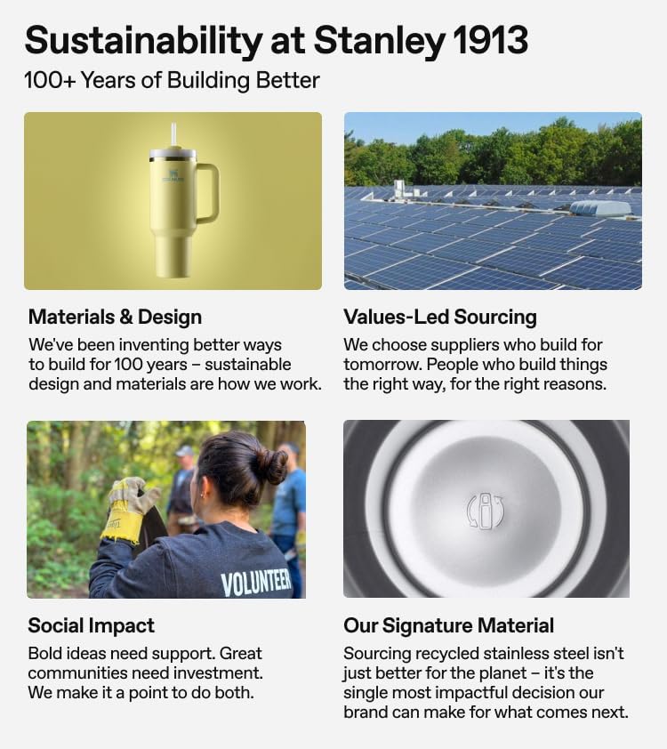 STANLEY Everyday Suburban Mug - 24 oz Insulated Stainless Steel | Drink Through Lid | BPA-Free | Frost