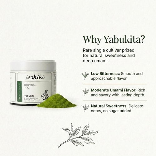 Isshiki Matcha Powder - Premium Ceremonial Grade Yabukita Green Tea from Kyoto - 30G for 20 Servings