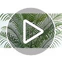 5ft Artificial Palm Tree - Realistic Faux Tropical Plant in Pot