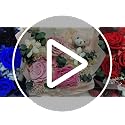 Preserved Rose Flower Bouquet with Bear in Gift Box