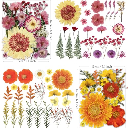 98 Pcs Real Natural Pressed Dried Flowers & Leaves for Resin Crafts