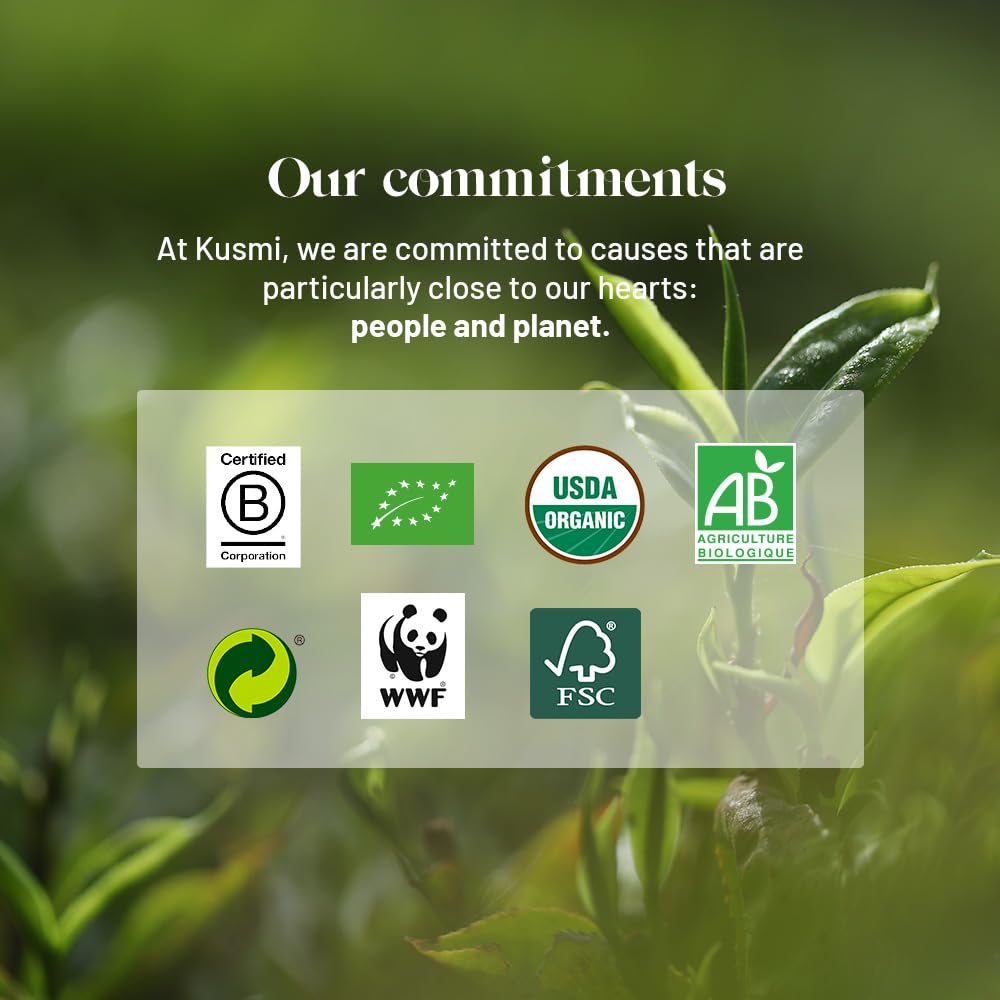 Kusmi Tea - Boost - Organic Blend of Green Tea, Mate & Spices - Flavored with Cinnamon, Cardamom & Ginger - Loose Leaf Tea - Tin Box of 3.5 oz - Quantity for about 50 cups