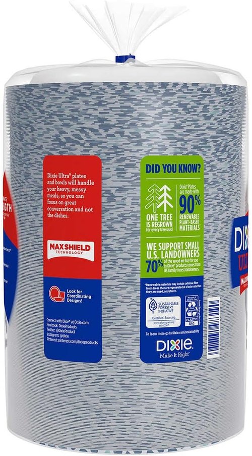 Dixie Ultra Disposable Paper Plates - 8.5 Inch Lunch & Dinner Plates | 240 Count Printed Design