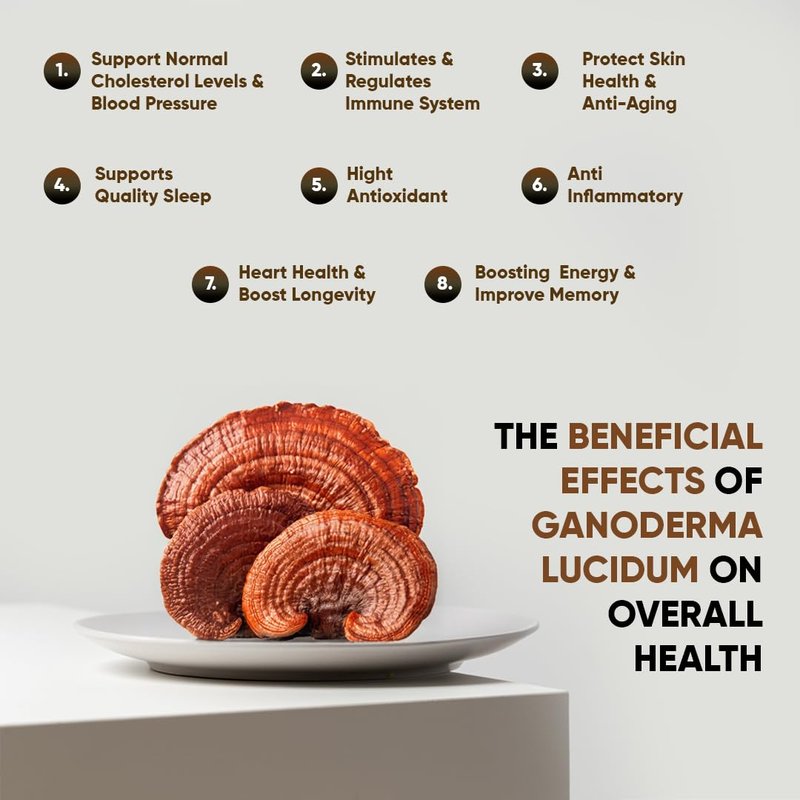 Nugano Black Coffee with 100% Certified Ganoderma Lucidium Extract Bold and Flavorful Gourmet Instant coffee 30 Servings (1, 1 Box)
