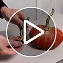 Large Realistic Faux Pumpkin Stems for DIY Velvet Pumpkin Crafting