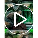 Indoor Tabletop Waterfall Fountain with LED Lights - Resin Desk Water Feature