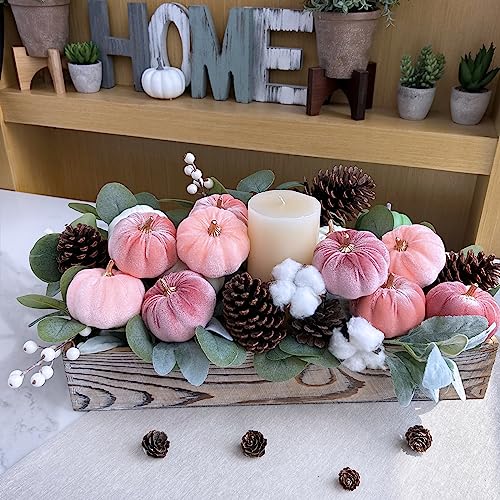 12 Pcs Small Velvet Pumpkins Set - 3-Inch Fabric Autumn Fall Decor