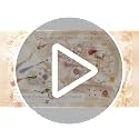 182 PCS Real Pressed Dried Flowers and Leaves Set with Tweezers for DIY Crafts